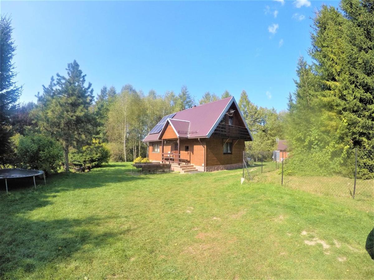 Domek Nad Strumieniem Baligród Exterior foto